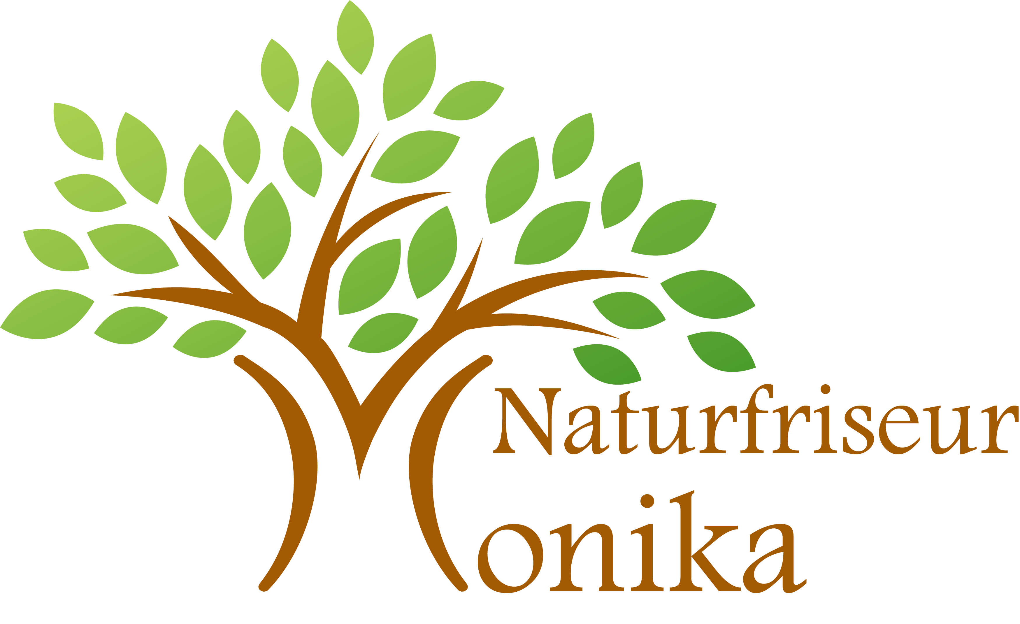 Baum Logo