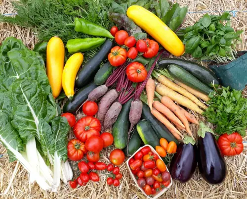 verschieden Gemüse für eine gesunde Ernährung für Haut und Haar